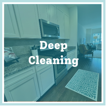 Cleaning Service 2